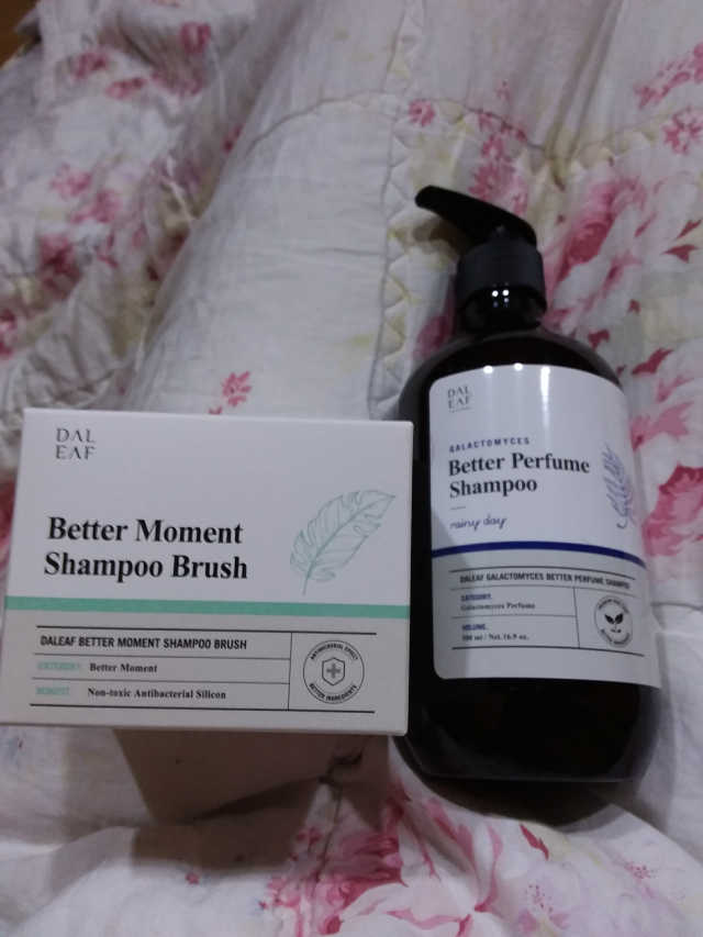 달리프 베러 퍼퓸 샴푸 1000ml 레이니데이 or 일랑로즈 리뷰 사진