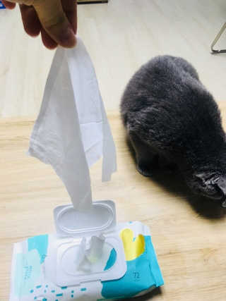 이유진님이 올린 리뷰 사진 2