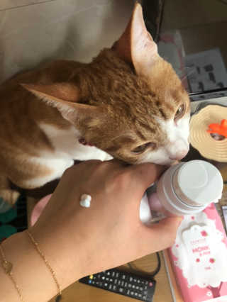JihyeCheong님이 올린 리뷰 사진 3
