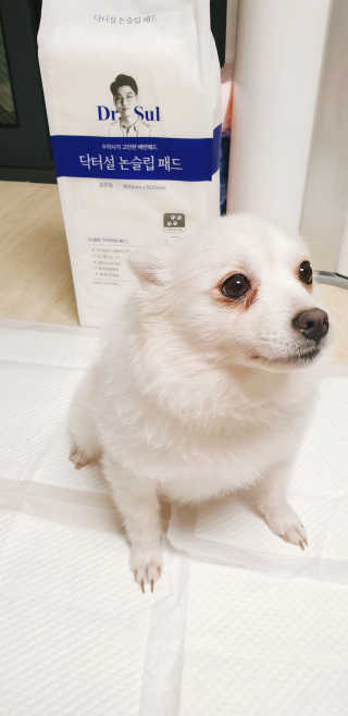 으콩님이 올린 리뷰 사진 1