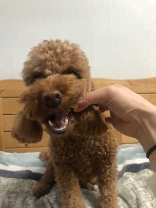 최블링님이 올린 리뷰 사진 3