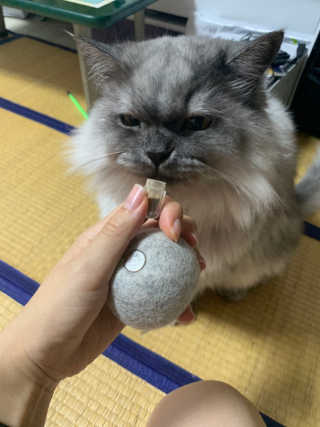 미코지혜님이 올린 리뷰 사진 3