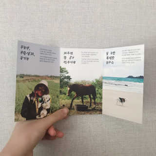 ye0229님이 올린 리뷰 사진 4