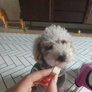 sdlove숑봉님이 올린 리뷰 사진 1