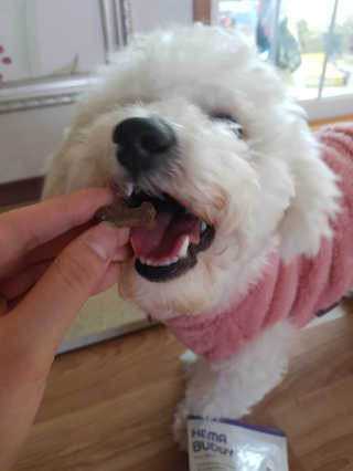 똘이님이 올린 리뷰 사진 1