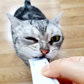 제니언니님이 올린 리뷰 사진 1