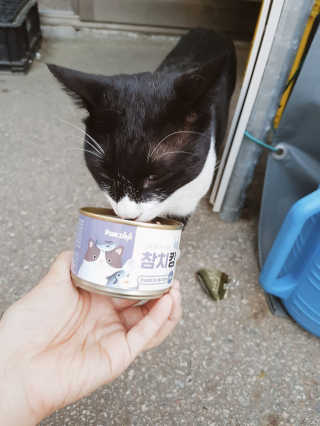 언제나피터팬님이 올린 리뷰 사진 3