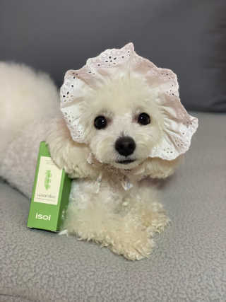 워터몽두님이 올린 리뷰 사진 3
