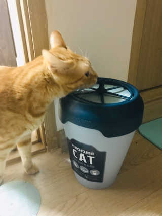 나린마마님이 올린 리뷰 사진 1