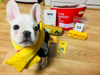 히이짱님이 올린 리뷰 사진 2