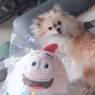 디자이너조은희님이 올린 리뷰 사진 1