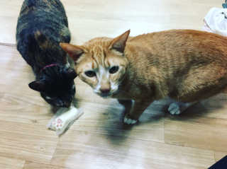 쏭2님이 올린 리뷰 사진 1