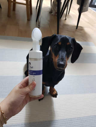 이쁜이님이 올린 리뷰 사진 1