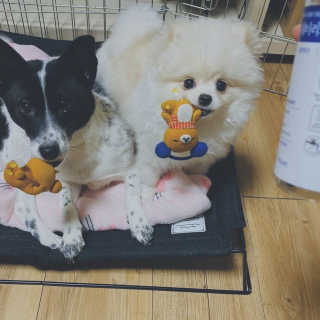 임혜빈님이 올린 리뷰 사진 4