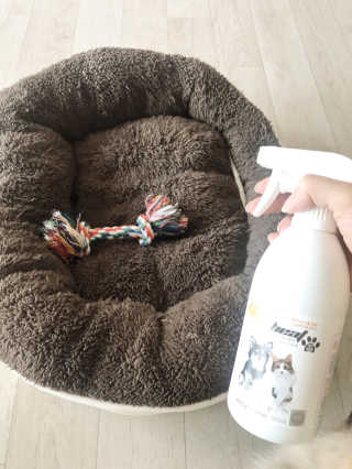 JiYeounKim님이 올린 리뷰 사진 2