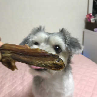 loveu님이 올린 리뷰 사진 4
