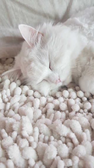 논지님이 올린 리뷰 사진 3