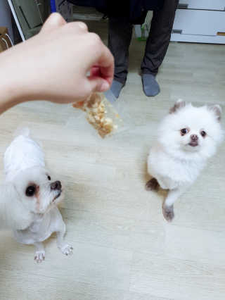 황선아님이 올린 리뷰 사진 2