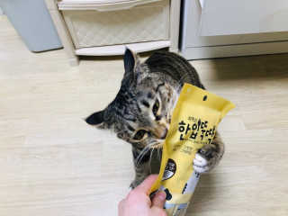 MinyeonCha님이 올린 리뷰 사진 3