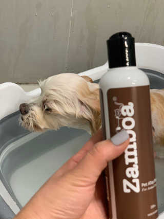 어거스트비님이 올린 리뷰 사진 3