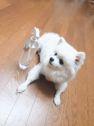 퀸민님이 올린 리뷰 사진 4