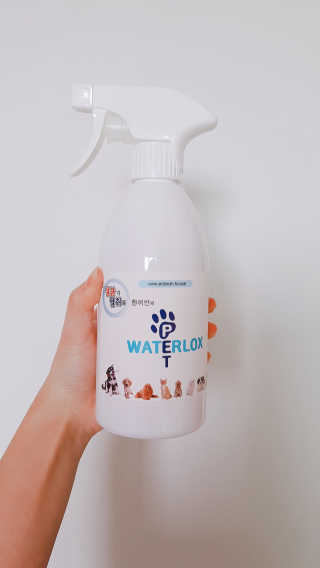 논지님이 올린 리뷰 사진 3