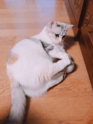쿠쿠밍님이 올린 리뷰 사진 3