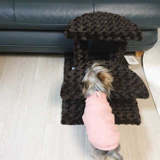 #블로거님이 올린 리뷰 사진 2