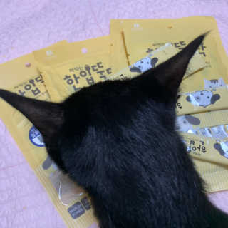 [펫토리아]짜먹는 한입뚝딱 강아지.고양이 마약간식 — 5점을 준 리뷰어가 2019년 7월 올린 사용 사진