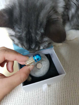 손바닥님이 올린 리뷰 사진 2