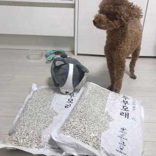 으나으나햐님이 올린 리뷰 사진 3