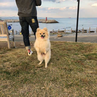 ShSh님이 올린 리뷰 사진 2