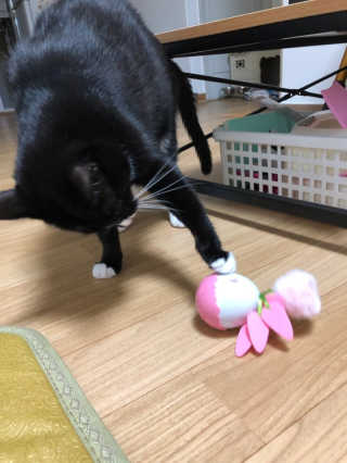 미소엔젤님이 올린 리뷰 사진 2