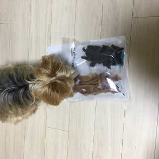 데닌슈님이 올린 리뷰 사진 1