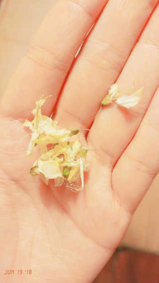 rang.yeoni님이 올린 리뷰 사진 2