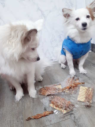 [펫토리아] 뚝딱뚝딱 400g 강아지 간식 베스트5종 — 5점을 준 리뷰어가 2019년 1월 올린 사용 사진