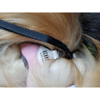 Peepingpomeranian님이 올린 리뷰 사진 3