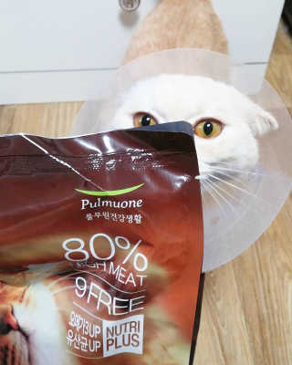 정솔님이 올린 리뷰 사진 2