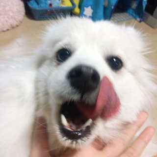 누리님이 올린 리뷰 사진 2