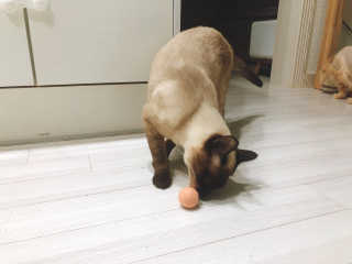 바초라떼님이 올린 리뷰 사진 2