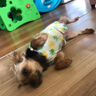 itsmeinyeong님이 올린 리뷰 사진 3