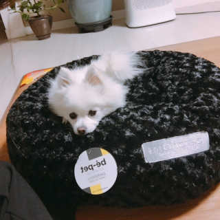 찐님이 올린 리뷰 사진 3