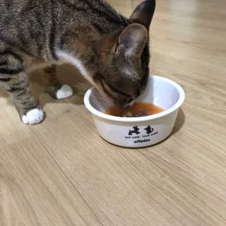 재요닝님이 올린 리뷰 사진 1
