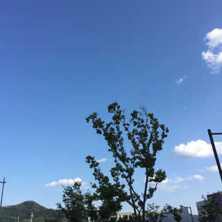 주지혜님이 올린 리뷰 사진 1