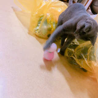 율집사님이 올린 리뷰 사진 3