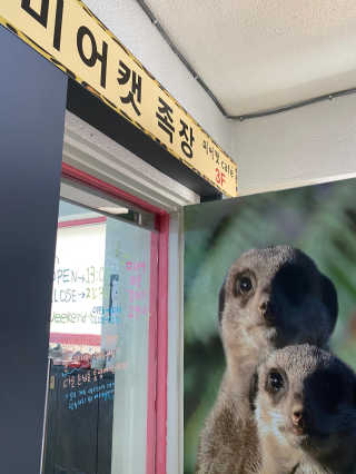 디에이님이 올린 리뷰 사진 1
