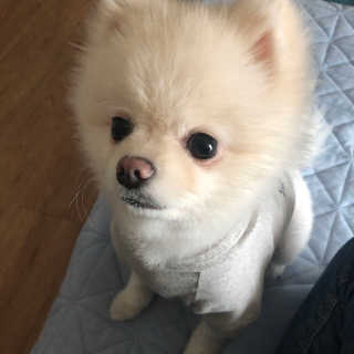MinAKim님이 올린 리뷰 사진 1