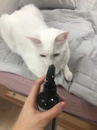 OliviaChoi님이 올린 리뷰 사진 2