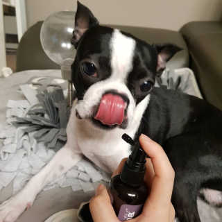 연니비님이 올린 리뷰 사진 3