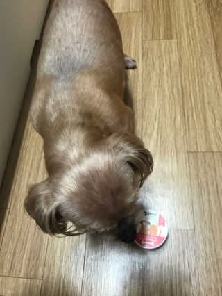 오현주님이 올린 리뷰 사진 2